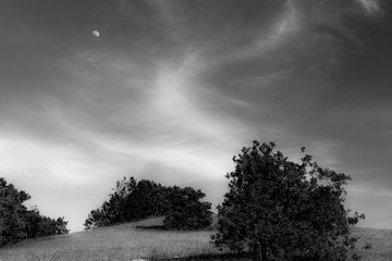 Field over an hill ,tree and deep sky with clouds and moon