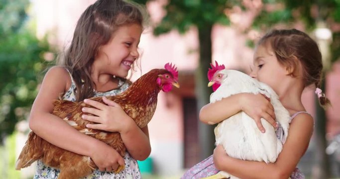 Authentic moment of two happy little smiling girls sisters are holding their hens outside the countryside house in a sunny summer day.