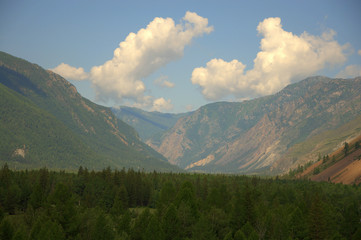 Picturesque fertile valley surrounded by high mountains. Altai, Siberia, Russia. Landscape.