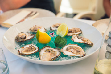 oysters on plate with lime and ice