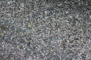 Gray sea pebbles. View through the water