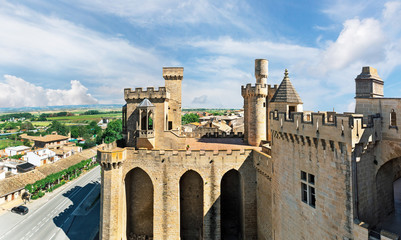 Fototapeta premium beautiful castle Olite