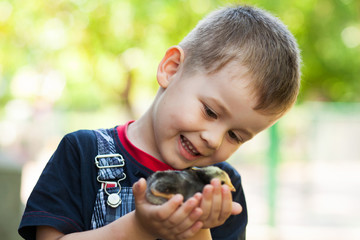 Little boy holding a baby chick on a farm. Concept of happy life.