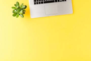 Office desktop. Laptop with small succulent on yellow background with copyspace