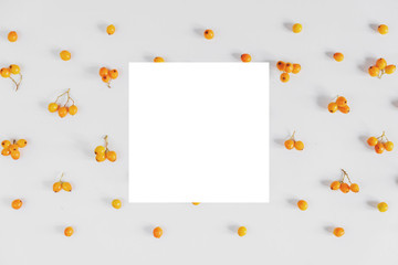 Autumn creative composition. Rowan and white frame on gray background. Autumn, fall, halloween, thanksgiving day concept. Flat lay, top view, copy space