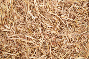 dry yellow hay using for agriculture background