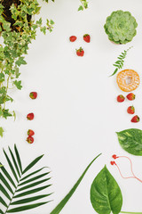 Image of green flowers and plant with strawberries making frame around on white background