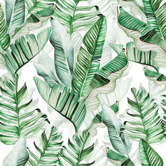 Beautiful watercolor seamless pattern with tropical leaves and banana leaves. 