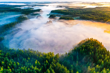 Fototapeta na wymiar Thick fog in morning concept. Aerial landscape. Green forest in countryside, beautiful scenery