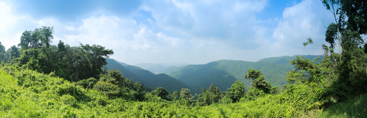 panorama view on green tree mountain with blue sky