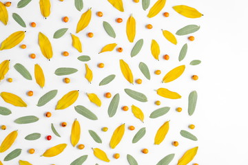 Autumn creative composition. Wreath made of leaves and rowan on white background. Autumn, fall, halloween, thanksgiving day concept. Flat lay, top view, copy space