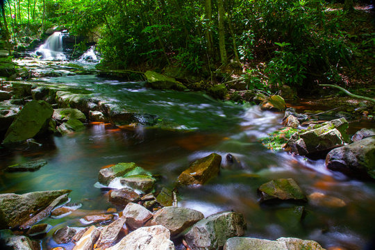Rushing Appalachian Mountain Stream Back Woods Pennsylvania