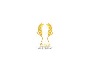 Agriculture wheat Logo Template vector icon design