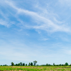Blue sky with cloud. Clearing day and Good weather in the morning.