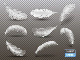 White Feathers Realistic Transparent Set