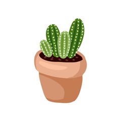 Hygge potted cactus plant. Cozy lagom scandinavian style succulent isolated image
