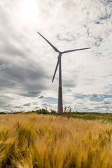 Fototapeta premium Windmill in field at summer 