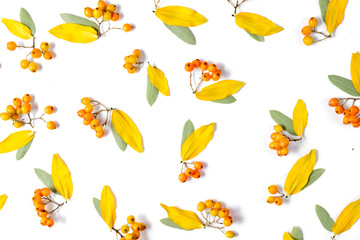 Autumn composition. Pattern made of leaves and rowan on white background. Autumn, fall, thanksgiving day concept. Flat lay, top view, copy space.