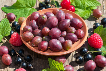 Plate with fresh ripe brown gooseberries on an old wooden table close-up