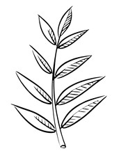 Rowan leaf on white background. Hand drawn black abstract outline of the leaf. Abstract leaf isolated on white background.