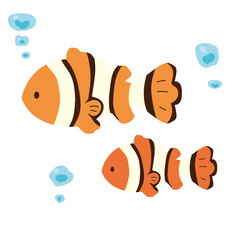 カクレクマノミ