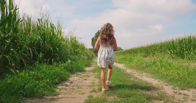 Authentic slow motion shot of cute happy little carefree girl is walking in the middle of corn fields in a sunny day.