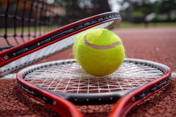 Tennis ball resting on top of tennis racquet