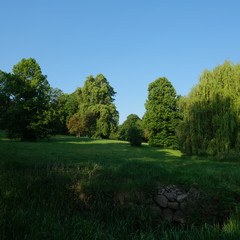 Kittendorf Park Diverse