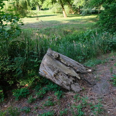 Kittendorf Park Diverse