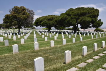 Military cemetery