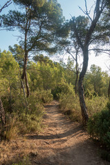 The desert of the palms in benicasim, Costa azahar