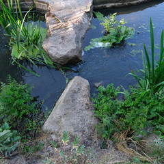 Kittendorf Park Diverse