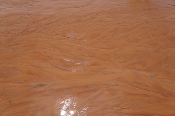 Tsingi Rouge Nationalpark in madagaskar 