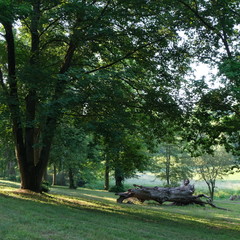 Kittendorf Park Diverse