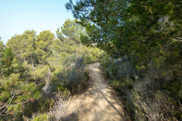 The desert of the palms in benicasim, Costa azahar