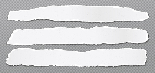 Piece of torn, white realistic horizontal paper strips with soft shadow are on grey squared background. Vector illustration - 281199579