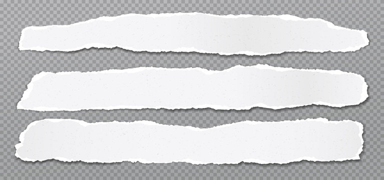 Piece of torn, white realistic horizontal paper strips with soft shadow are on grey squared background. Vector illustration