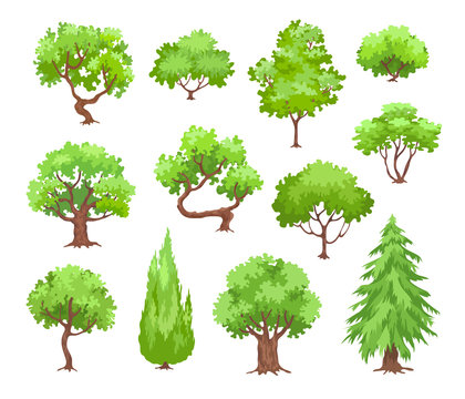 green trees collection