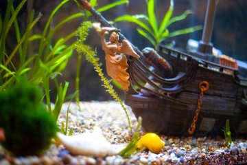 Sunken ship at the bottom of the aquarium. An old ship in an aquarium for fish. Home decoration....