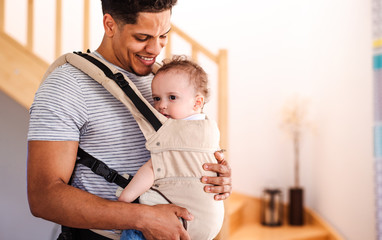 A father with small toddler son in carrier indoors at home.