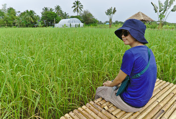 Female asian traveller wearing blue hat and shirt with sunglasses sitting and smiling on bamboo chair in beautiful organic rice field with green house and hay pavilion in background