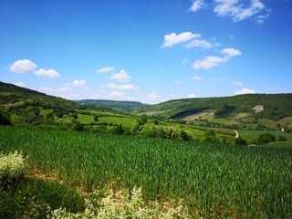 Fototapeta na wymiar Paysage Auvergne