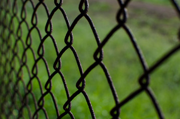 Fototapeta premium Macro y enfoque selectivo en las rejas de un parque con cespéd de fondo. 