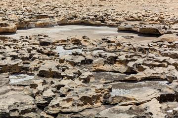 The stony coast of Gozo