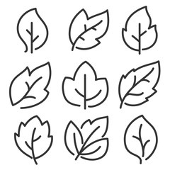 Leaves line vector icon set. Design for green and natural product logo brand identity.