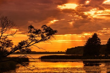 Zachód słońca nad jeziorem, rzeką z pochylonym drzewem i promieniami słońca
