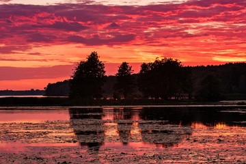 Puruprowe chmury nad jeziorem z drzewami o zachodzie słońca
