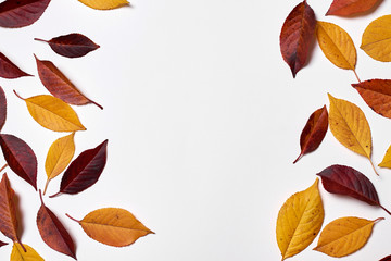 Autumn composition. Frame made of yellow and red leaves on white background. Fall concept. Autumn thanksgiving texture. Flat lay, top view, copy space