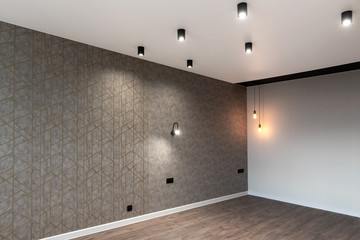 Modern new empty room with white and gray walls, led lamps and hardwood floor, copy space. New apartment in loft style