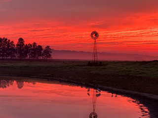 Light morning fog, windmill, pond with red sunrise sky in rural countryside